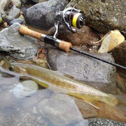 土砂降りの雨に逃げ帰る ～九頭竜川水系～
